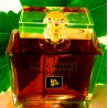 PATCHOULI POUDRÉ - EAU DE PARFUM (Flacon Luxe 100ml / Sans Boite)