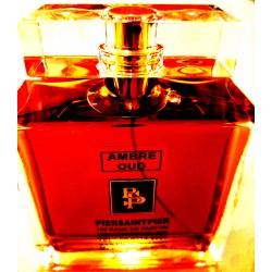 AMBRE OUD - EAU DE PARFUM (Flacon Luxe 100ml / Sans Boite)