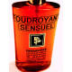 FOUDROYANT SENSUEL - EAU DE PARFUM (Flacon Simple 100ml / Sans Boite)