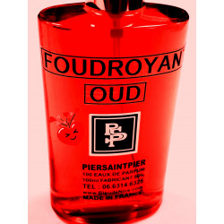FOUDROYANT OUD - EAU DE PARFUM (Flacon Simple 100ml / Sans Boite)