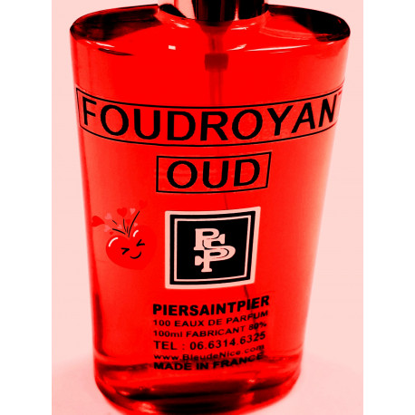 FOUDROYANT OUD - EAU DE PARFUM (Flacon Simple 100ml / Sans Boite)