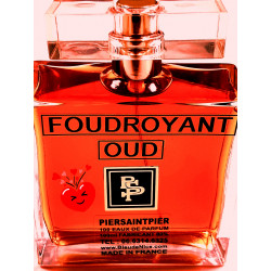 FOUDROYANT OUD - EAU DE PARFUM (Flacon Luxe 100ml / Sans Boite)